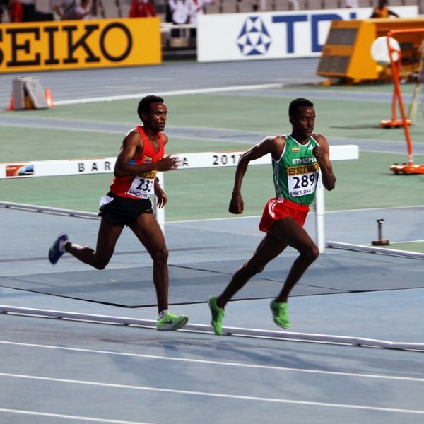 Demi fond - Entrainement du 800m au 5000m