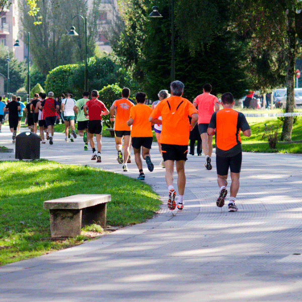 Programme entrainement Courir un Marathon